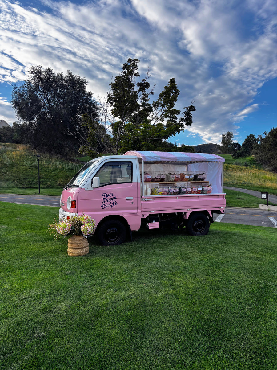 Guests at the candy truck at night